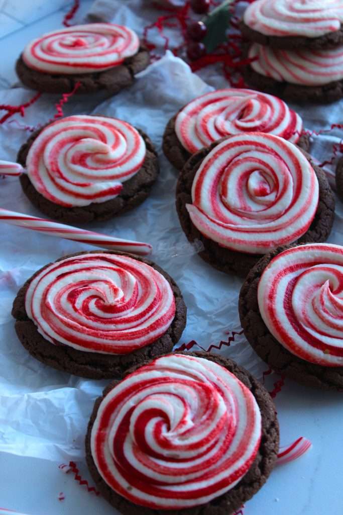 Peppermint Chocolate Cookies | The Squeaky Mixer