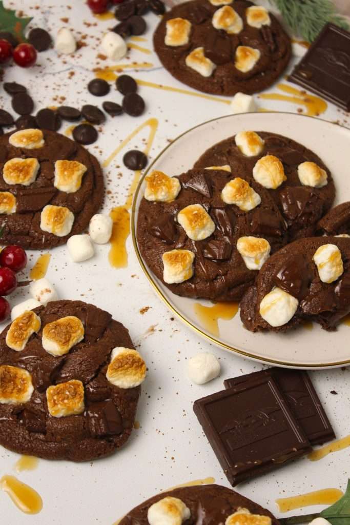 Hot Cocoa Cookies | The Squeaky Mixer