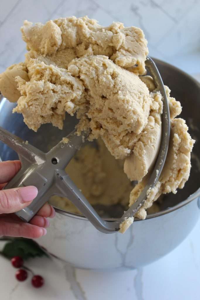Christmas Sugar Cookies | The Squeaky Mixer