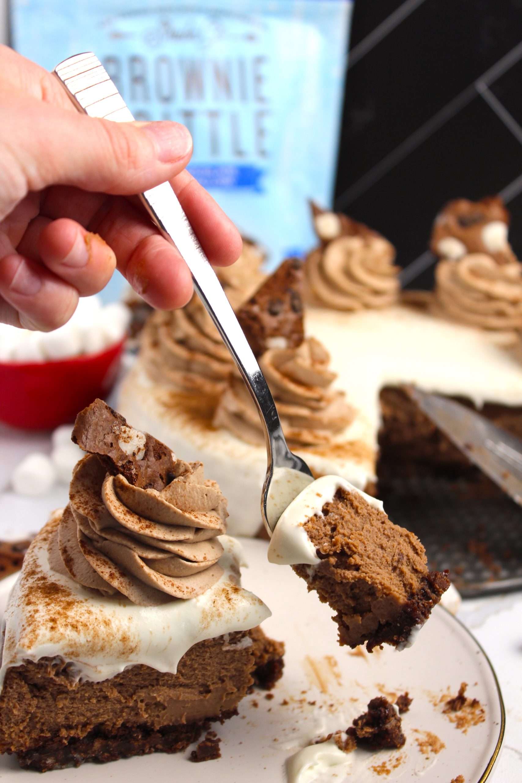 Hot Cocoa Cheesecake | The Squeaky Mixer